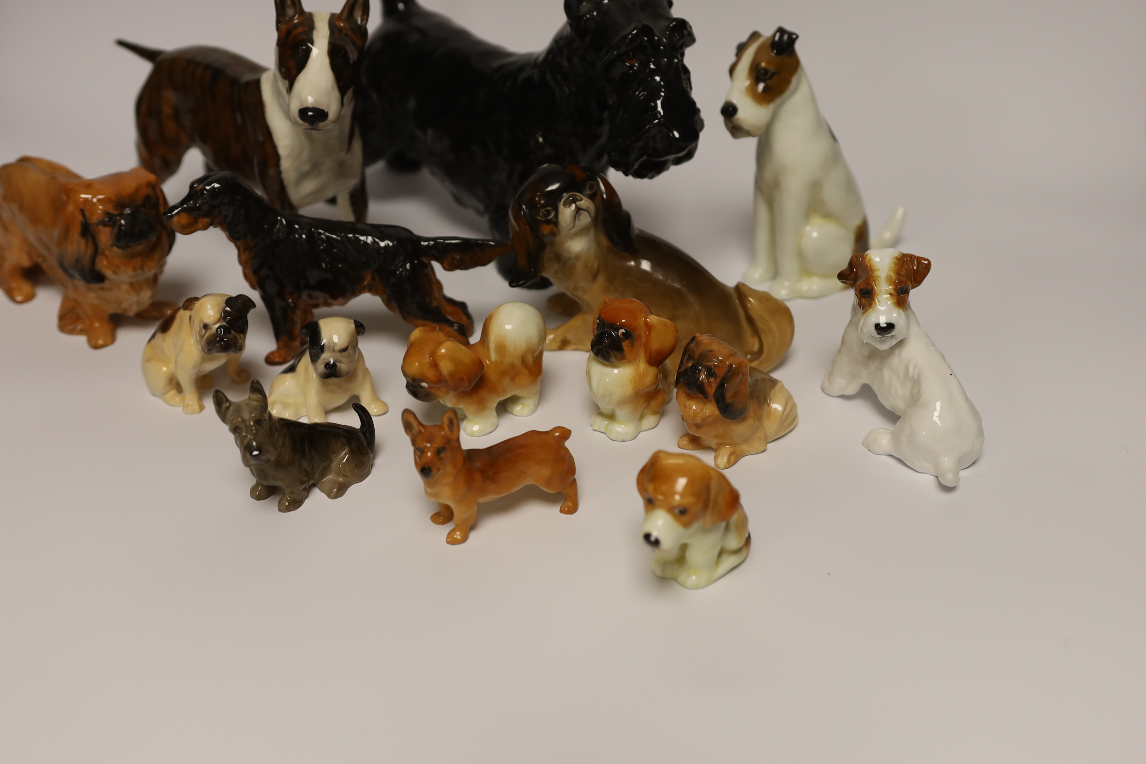 Fourteen Royal Doulton figures of dogs including Alborne Arthur